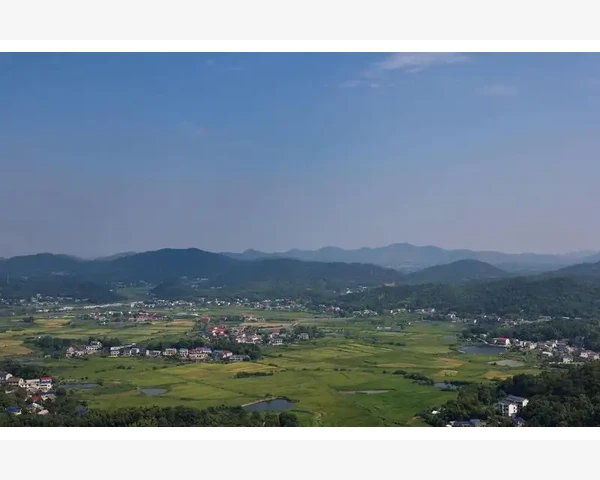 白梨冰糖红枣止咳化痰，传统中医秘方的功效与应用