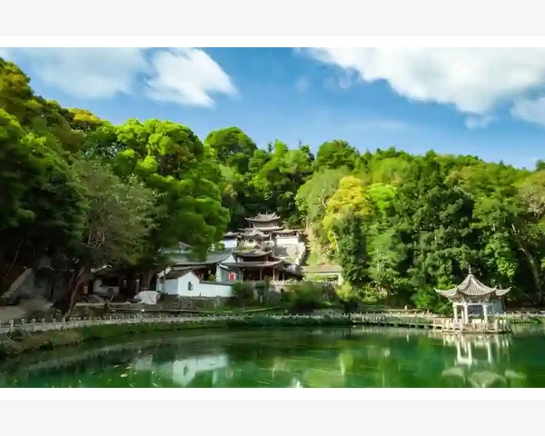 中药调理激素皮炎：让肌肤重拾健康自然的秘方