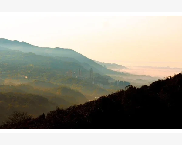 白梨：中医急救咳嗽，润喉止咳的良方